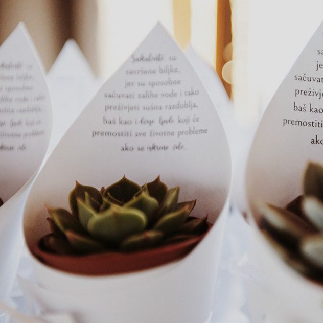 personalizirani sukulenti sukulenti kao zahvalnice zahvalnice za vjenčanje zahvalnice za goste sukulenti s privjeskom sukulenti s porukom personalizirani omot za sukulente pokloni za goste zahvalnice za krštenje zahvalnice za pričest zahvalnice za krizmu zahvalnice za rođendan originalne zahvalnice prirodne zahvalnice unikatne zahvalnice