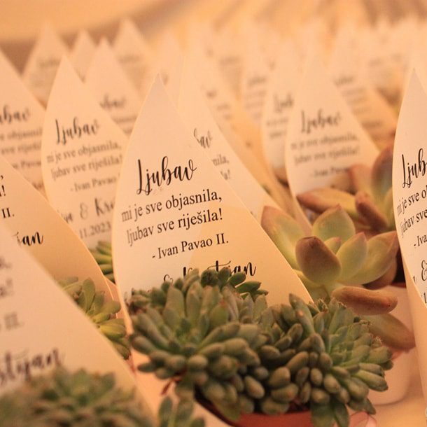 personalizirani sukulenti sukulenti kao zahvalnice zahvalnice za vjenčanje zahvalnice za goste sukulenti s privjeskom sukulenti s porukom personalizirani omot za sukulente pokloni za goste zahvalnice za krštenje zahvalnice za pričest zahvalnice za krizmu zahvalnice za rođendan originalne zahvalnice prirodne zahvalnice unikatne zahvalnice