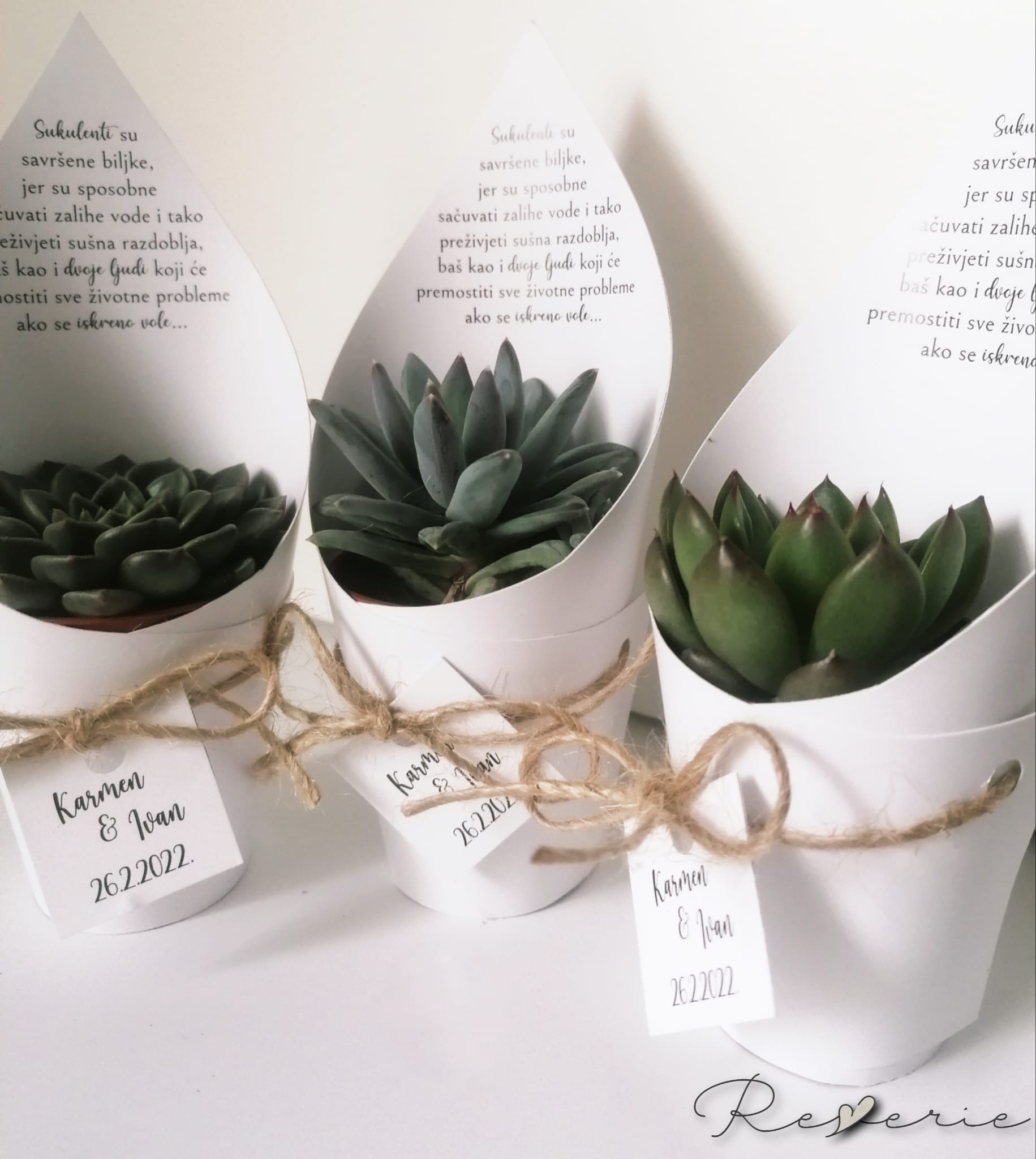 personalizirani sukulenti sukulenti kao zahvalnice zahvalnice za vjenčanje zahvalnice za goste sukulenti s privjeskom sukulenti s porukom personalizirani omot za sukulente pokloni za goste zahvalnice za krštenje zahvalnice za pričest zahvalnice za krizmu zahvalnice za rođendan originalne zahvalnice prirodne zahvalnice unikatne zahvalnice